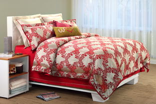 縵狄雅藍(lán)家紡產(chǎn)品與加盟店發(fā)展探析